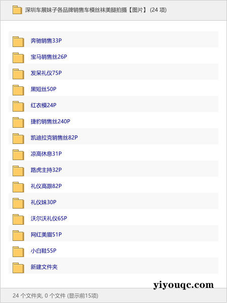 深圳车展妹子各品牌销售车模丝袜美腿拍摄【图片】-以北资源站