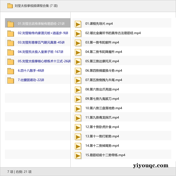 刘莹太极拳视频课程合集-以北资源站