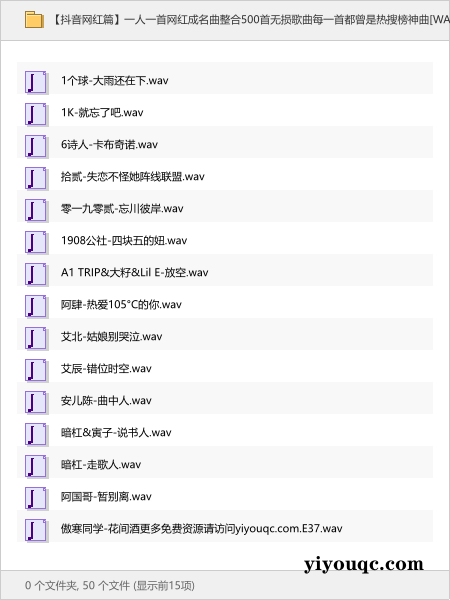 一人一首网红成名曲整合500首无损歌曲每一首都曾是热搜榜神曲[WAV+19.9GB]-以北资源站