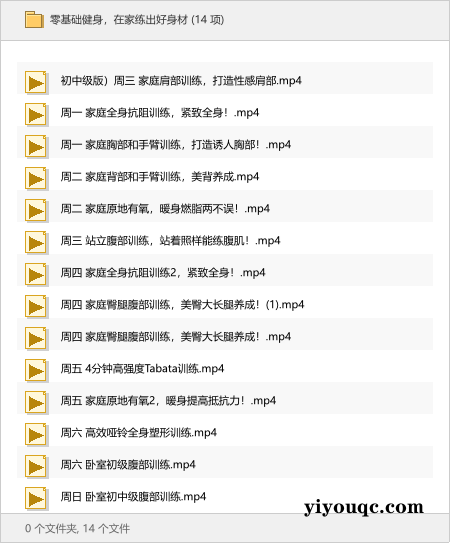 零基础健身,在家练出好身材-以北资源站