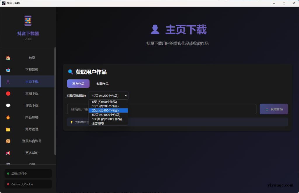 图片[2]-抖音/TikTok下载神器：一站式解决视频、图集、音乐下载需求（需登陆自己抖音账号）-以北资源站