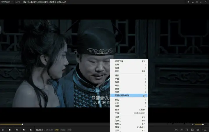 图片[3]-PotPlayer播放器v1.7.22746：全能影音解码神器，极致优化版来袭-以北资源站