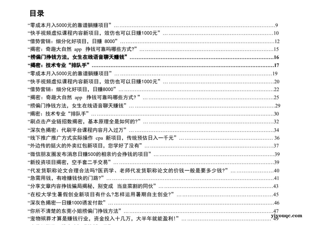 《捞偏门》:揭秘快速赚钱项目与灰色产业链内幕-以北资源站