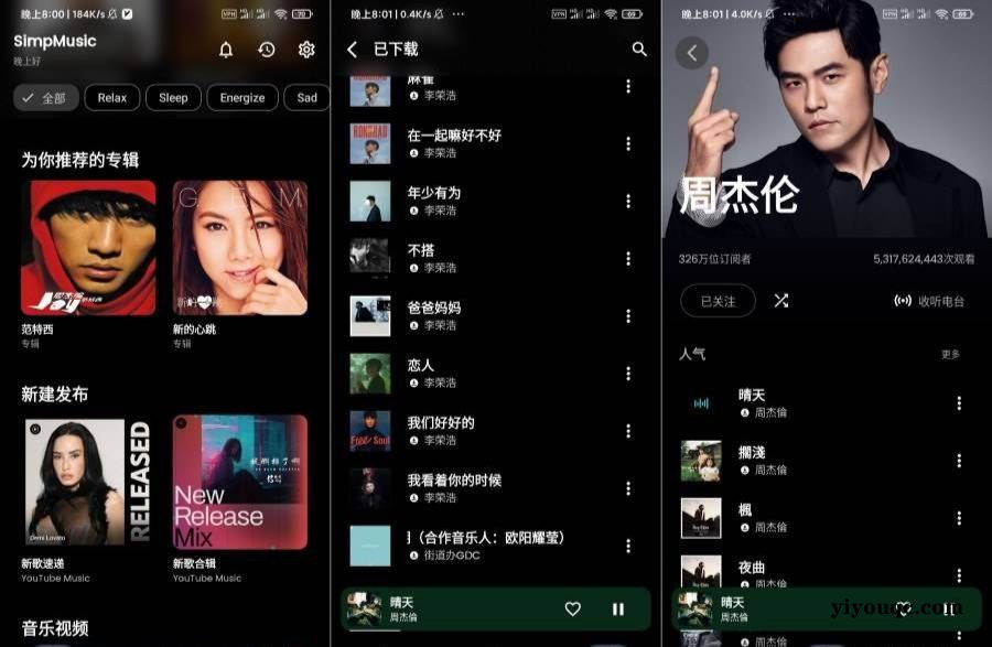 SimpMusic超强音乐神器支持批量下载-以北资源站