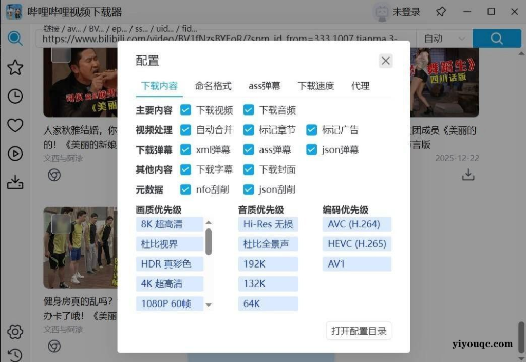 哔哩哔哩下载器0.1.1支持弹幕字幕无损缓存可批量下载-以北资源站