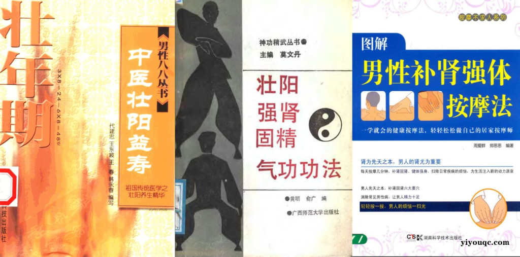男性健康养生壮阳补肾电子书合集-以北资源站