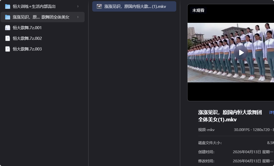 恒大歌舞团精选资源,舞动艺术之美-以北资源站